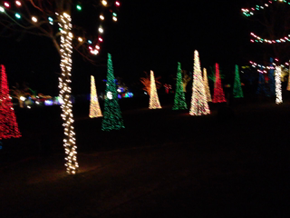 Click to Play Video 2012-12-21 15 Trail of Lights.png